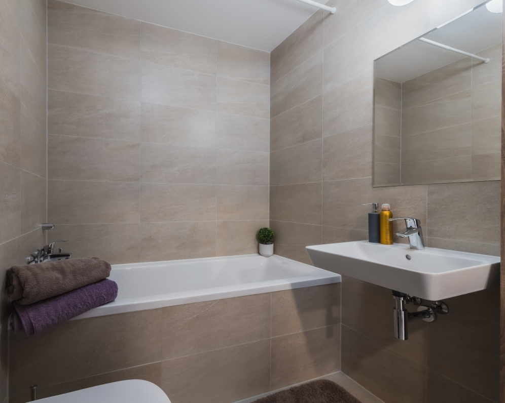 Pronájem bytu (Praha 8 - Libeň)